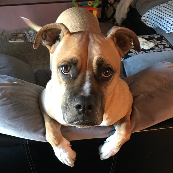 Meet your Posher, Kara - Picture 5 of 5